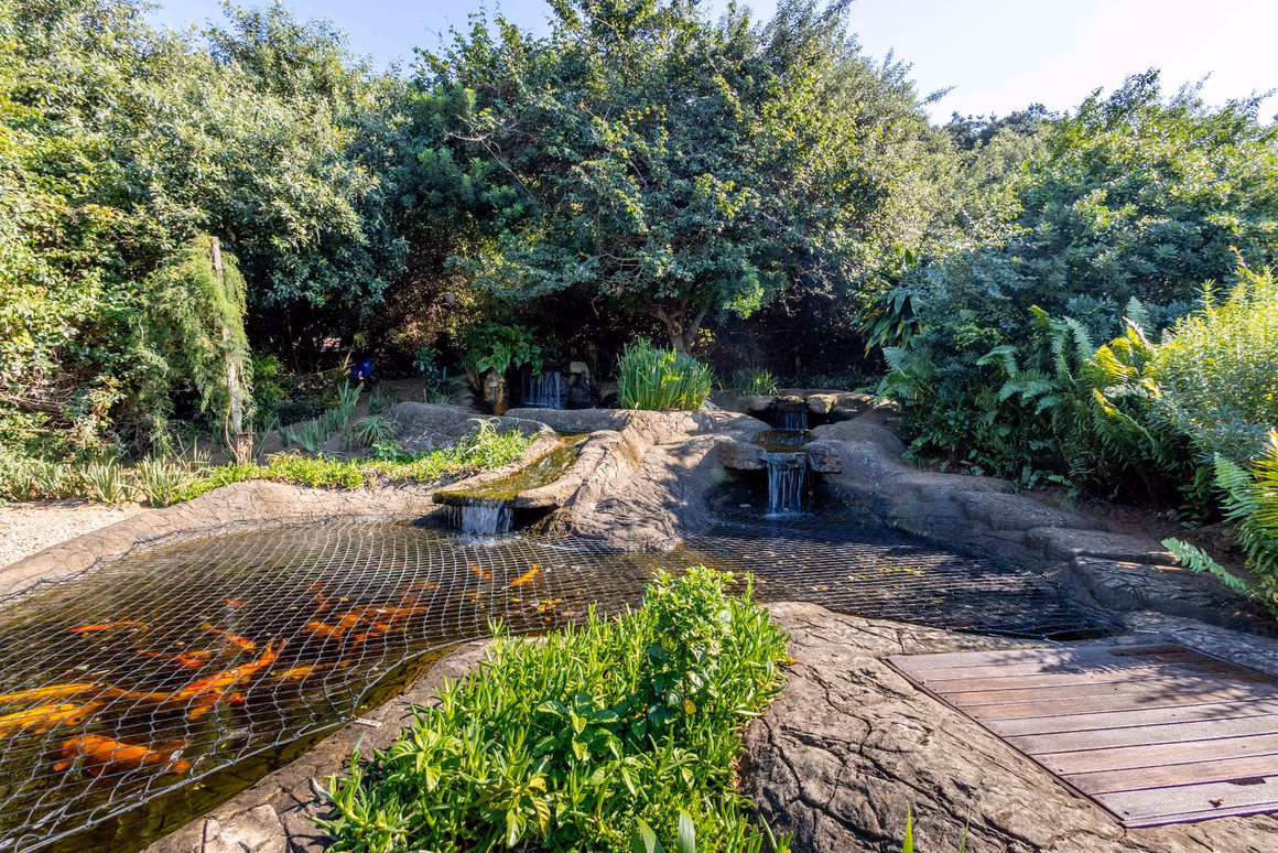 12 Milkwood Street, Zimbali Estate — gallery photograph 53 of 53