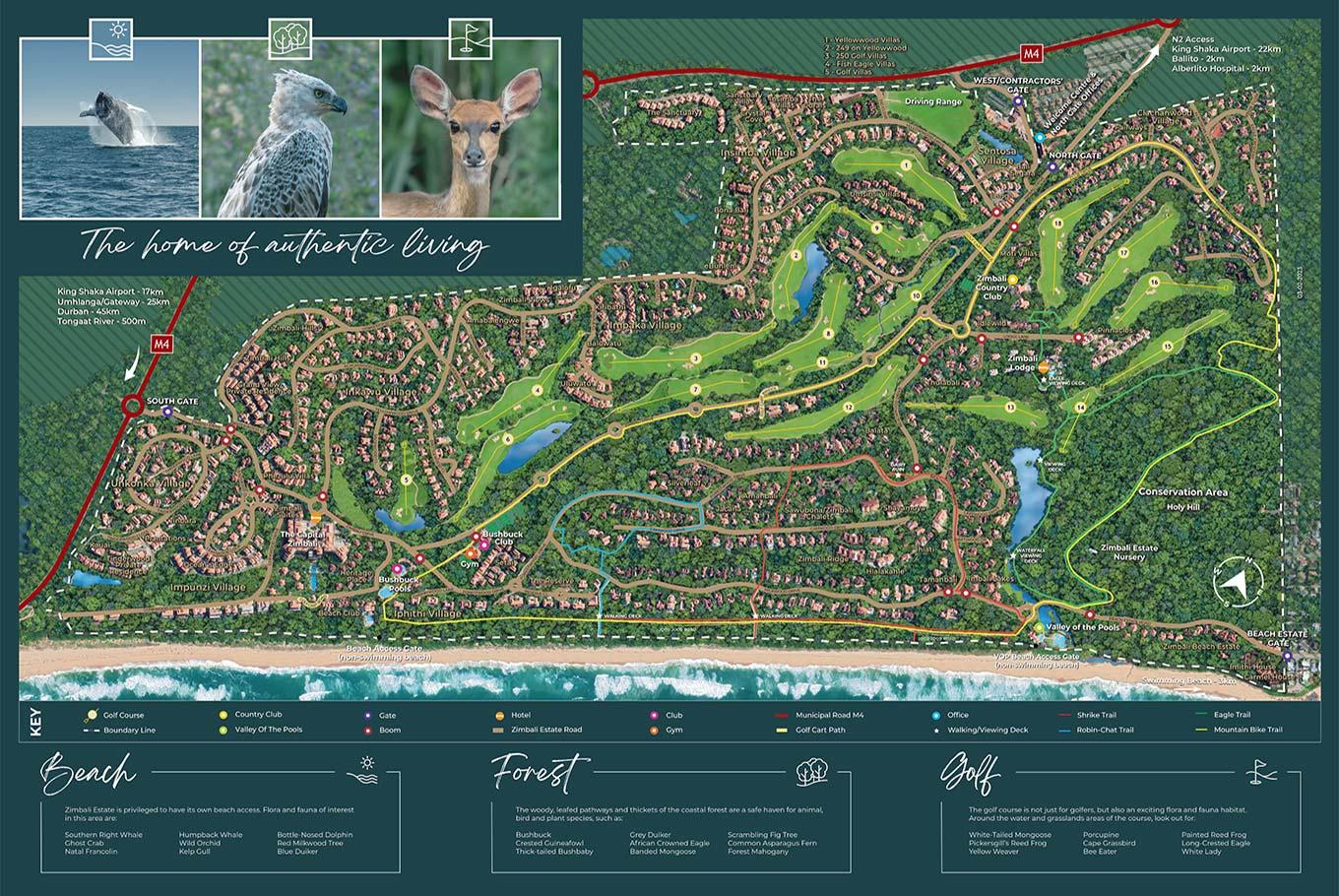 Zimbali illustrated estate plan