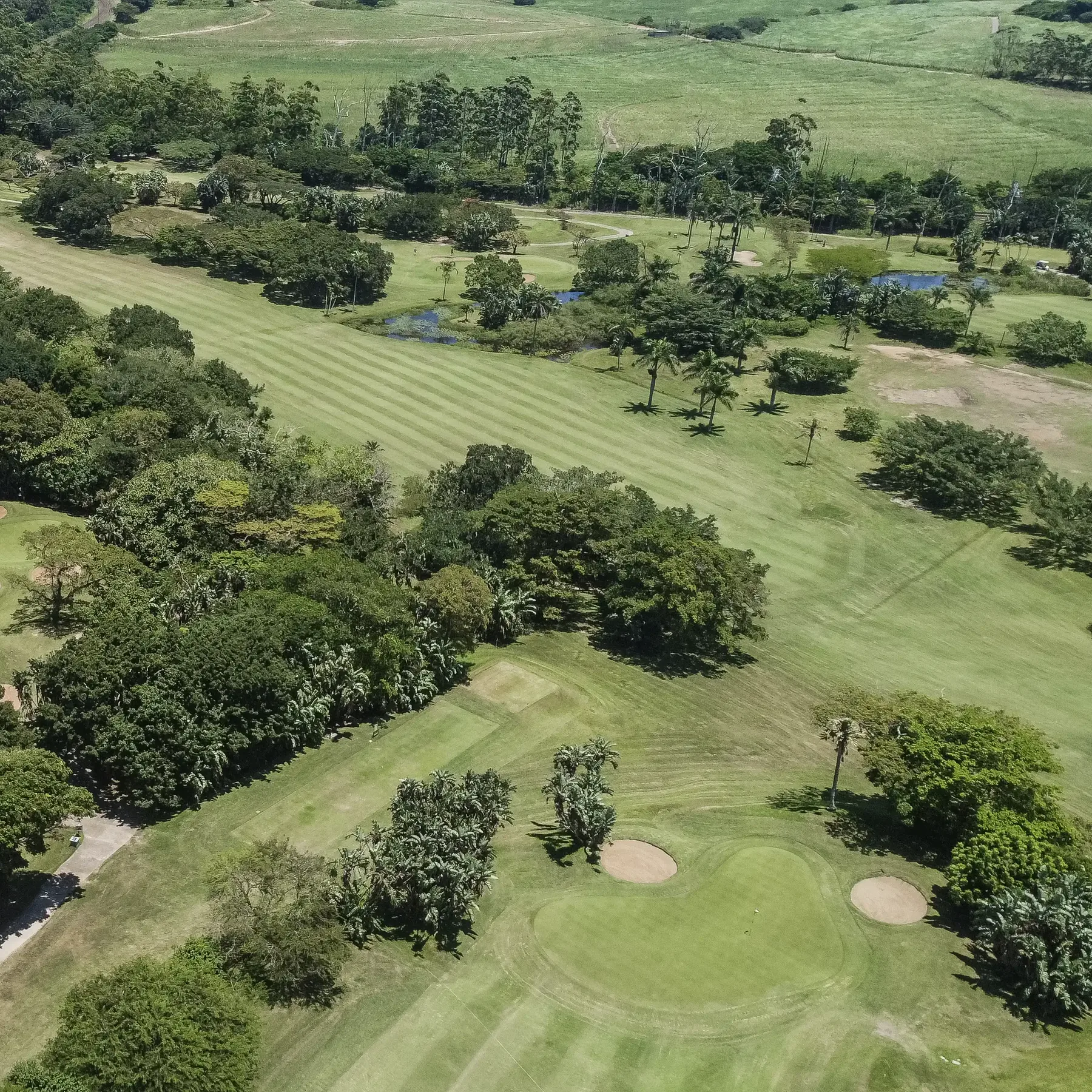 Landscape within The Greens Estate