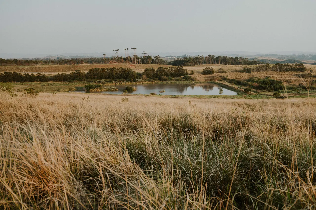 North Coast landscape