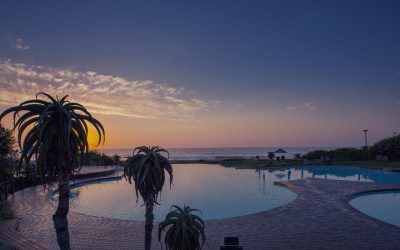 WhatsApp Image 2024-12-04 at 13.02.50_337a869c