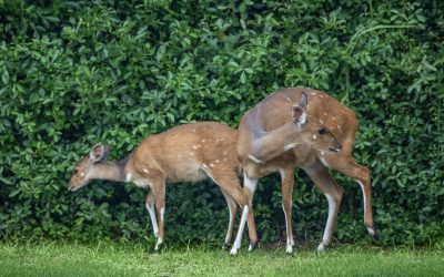 WhatsApp Image 2024-12-04 at 13.02.51_1684a5f1