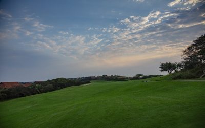 WhatsApp Image 2024-12-04 at 13.02.51_f06c7ea9