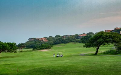 WhatsApp Image 2024-12-04 at 13.02.52_c5dc1110