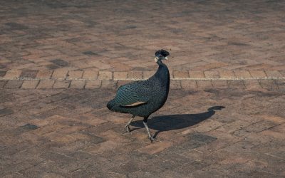 WhatsApp Image 2024-12-04 at 13.02.53_7ef89c41