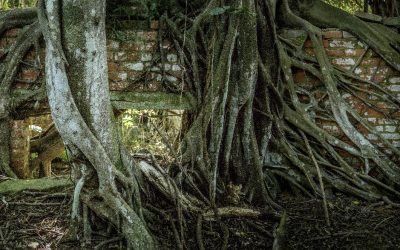 WhatsApp Image 2024-12-04 at 13.02.54_65a19434